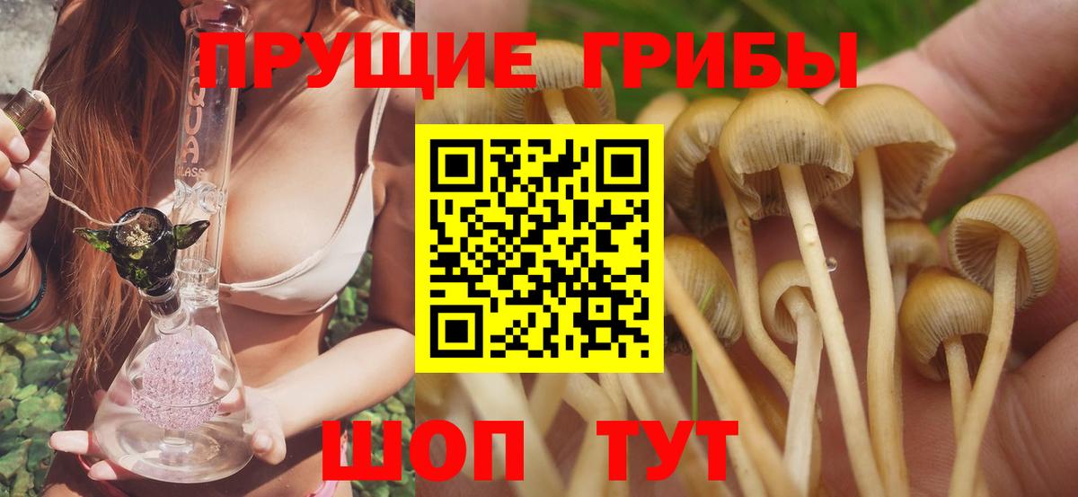 Псилоцибиновые грибы MAGIC MUSHROOMS Ростов-на-Дону